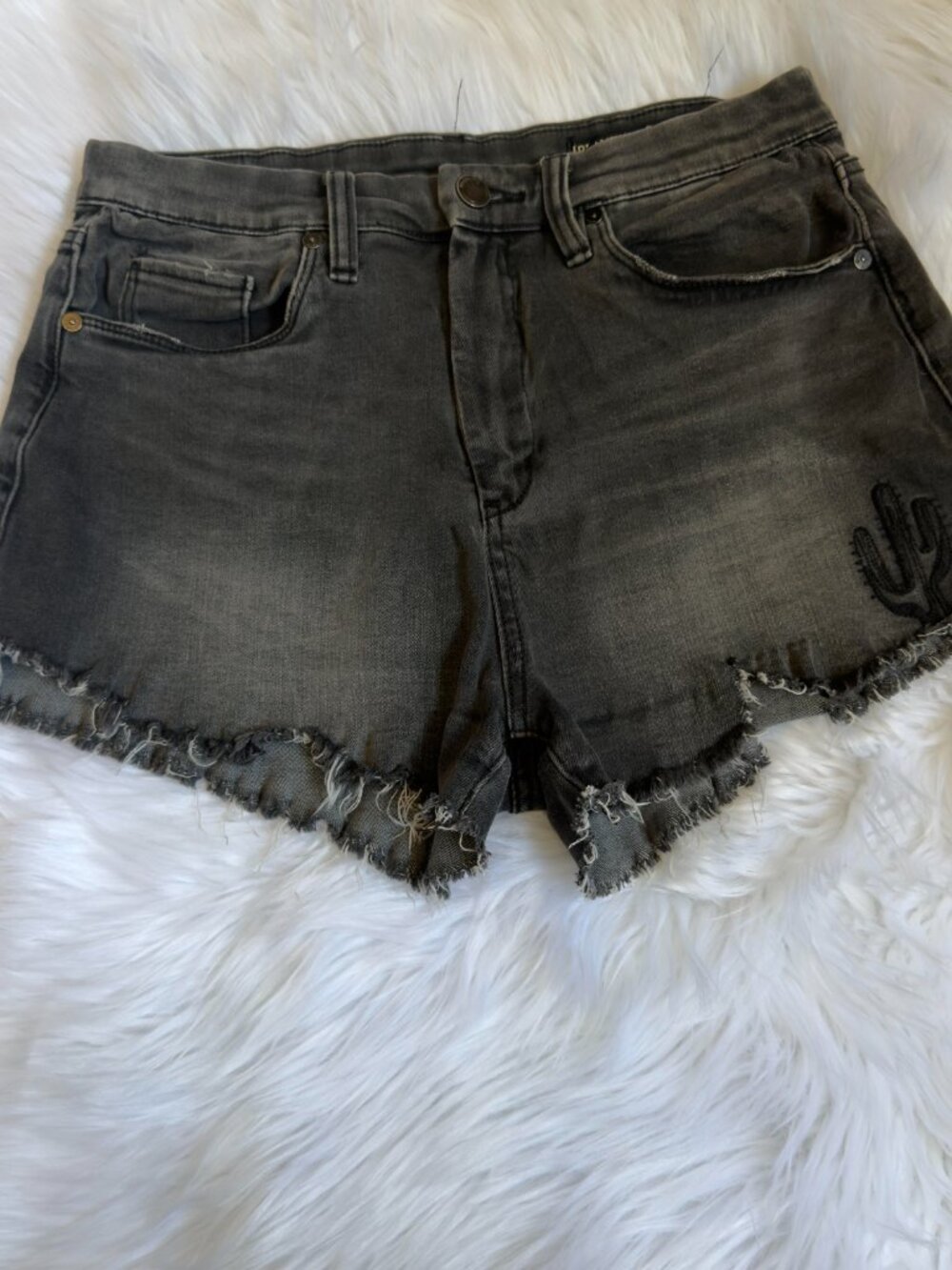 5/$25 - BLANKNYC Wedge Embroidered Cactus Denim Shorts Gray Black Size 29